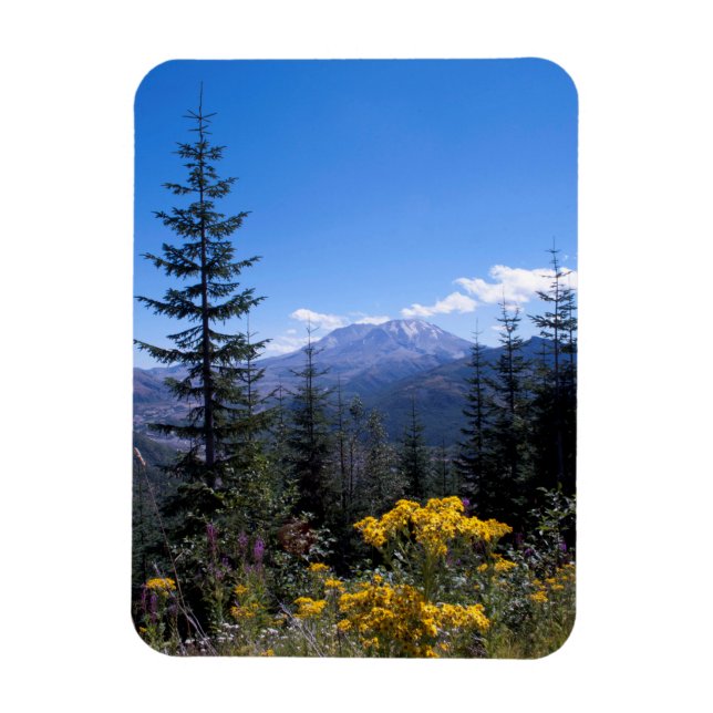 Der Mount Saint Helens Magnet (Vertikal)