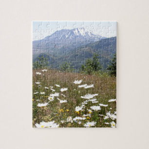 Der Mount Saint Helens Puzzle