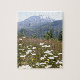 Der Mount Saint Helens Puzzle