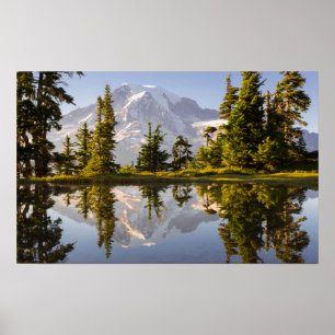 Der Mt. Rainier spiegelt sich in einem Bergsee nah Poster