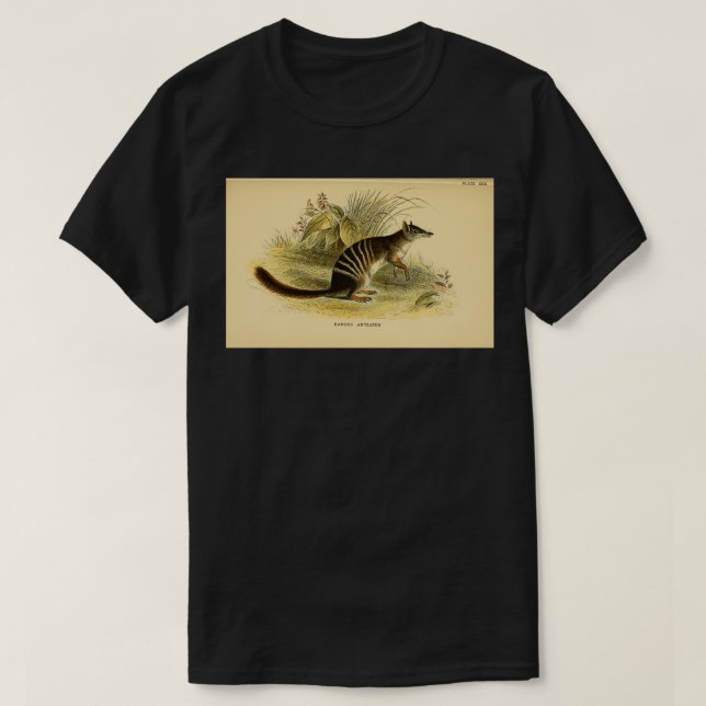 Der Myrmecobius fasciatus Hier als verbanden An T-Shirt (Design vorne)