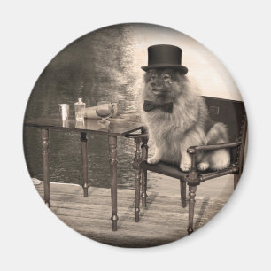 Der Nachmittag des Keeshond-Herrn Magnet
