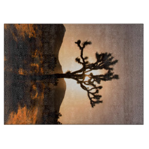 Der Nachtfall beginnt bei Joshua Tree Schneidebrett