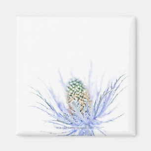 Der Nasenkopf nah nach oben Magnet