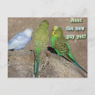 Der neue Typ Postkarte