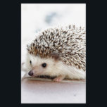 Der niedliche Baby-Igel Briefpapier<br><div class="desc">Nicht ist er niedlich?</div>