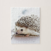 Der niedliche Baby-Igel