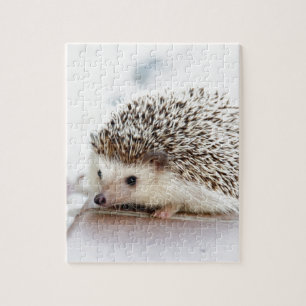 Der niedliche Baby-Igel Puzzle