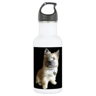 Der niedlichste Cairn-Terrier überhaupt!  Trinkflasche