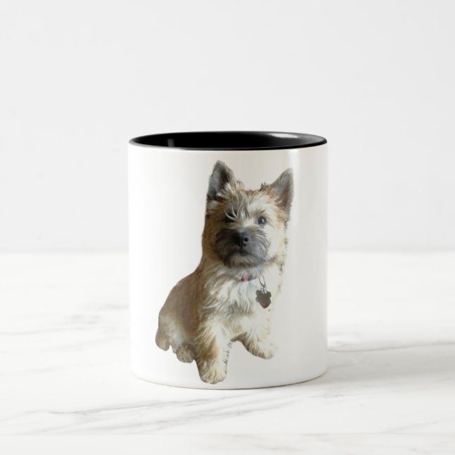 Der niedlichste Cairn-Terrier überhaupt!  Zweifarbige Tasse (Mittel)