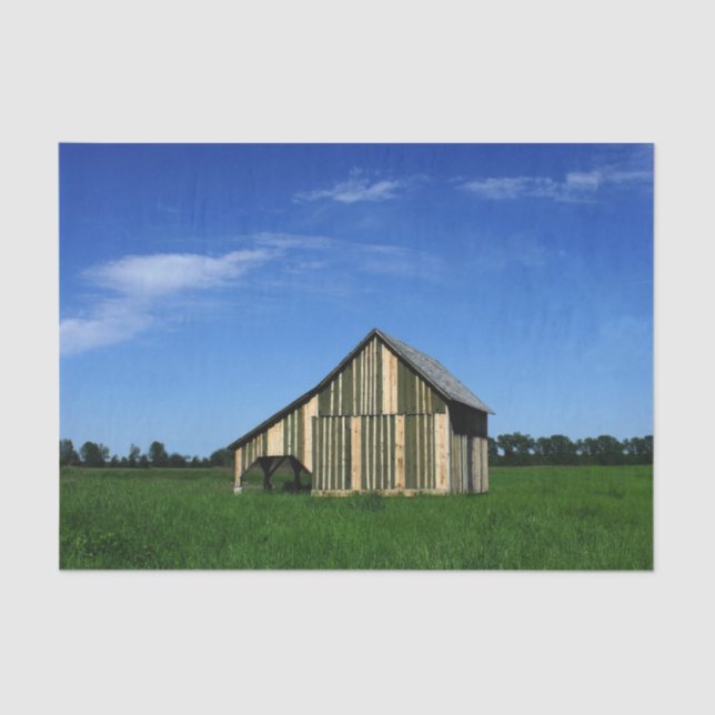 Der Niedlichste gestreifte Stall überhaupt! Seidenpapier (Vorderseite)