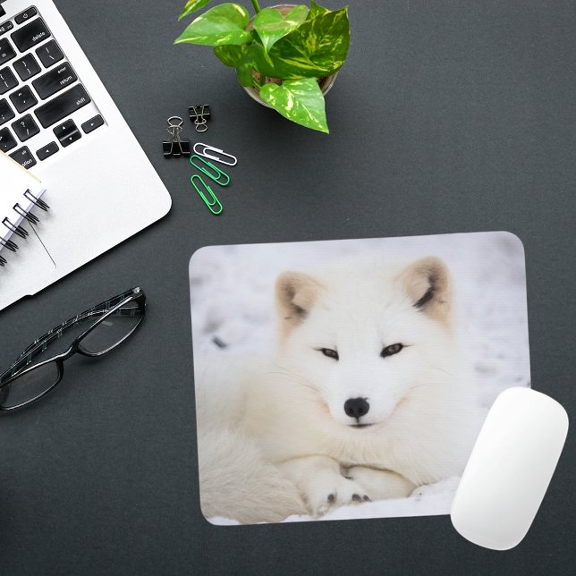 Der niedlichste weiße Polarfuchs, der dich ansieht Mousepad (Von Creator hochgeladen)