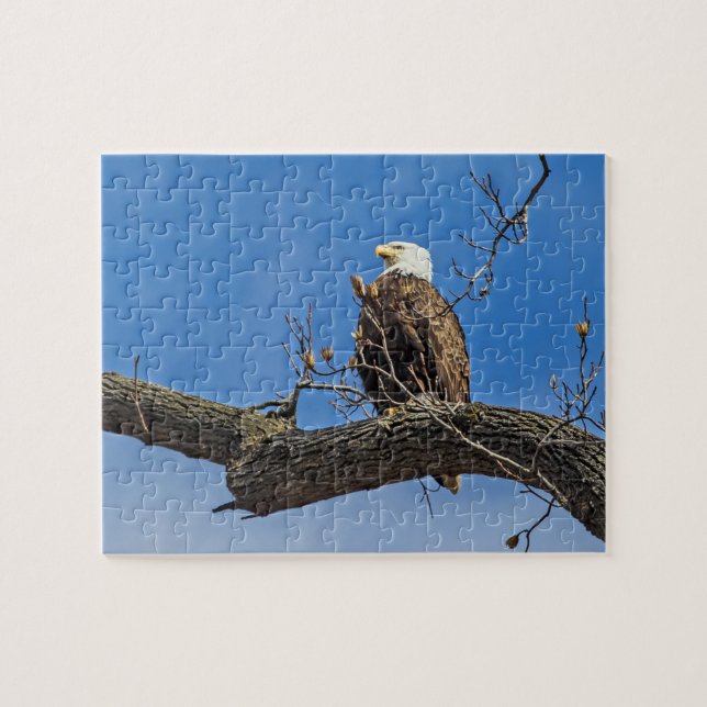 Der Nobeladler Puzzle (Horizontal)