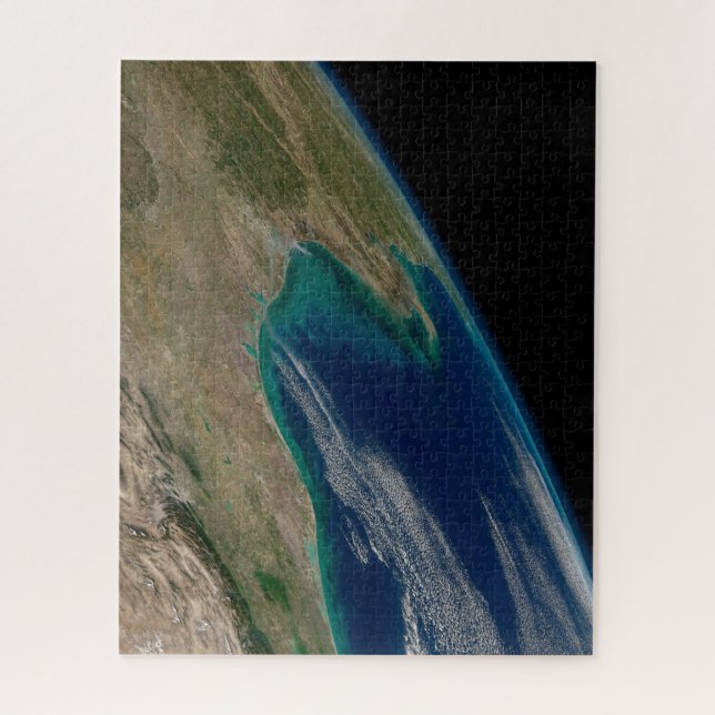 Der nördliche Golf von Mexiko. Puzzle (Vertikal)