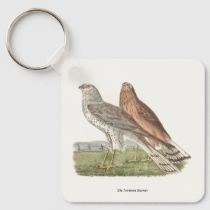 Der Nördliche Harrier (Ringschwanzfalken) NY Bird Schlüsselanhänger