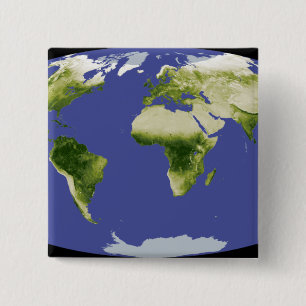 Der normalisierte Unterschied-Vegetations-Index Button