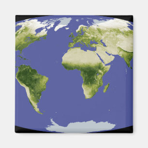 Der normierte Index für Unterschiedsvegetation Magnet