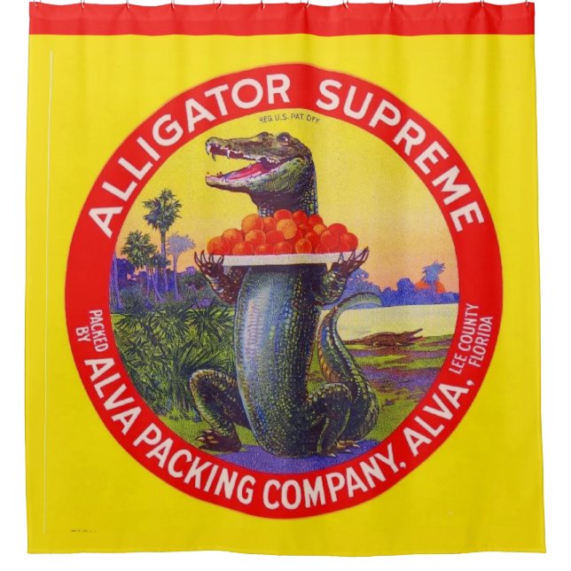 Der Oberste Alligator von Florida Duschvorhang (Vorderseite)
