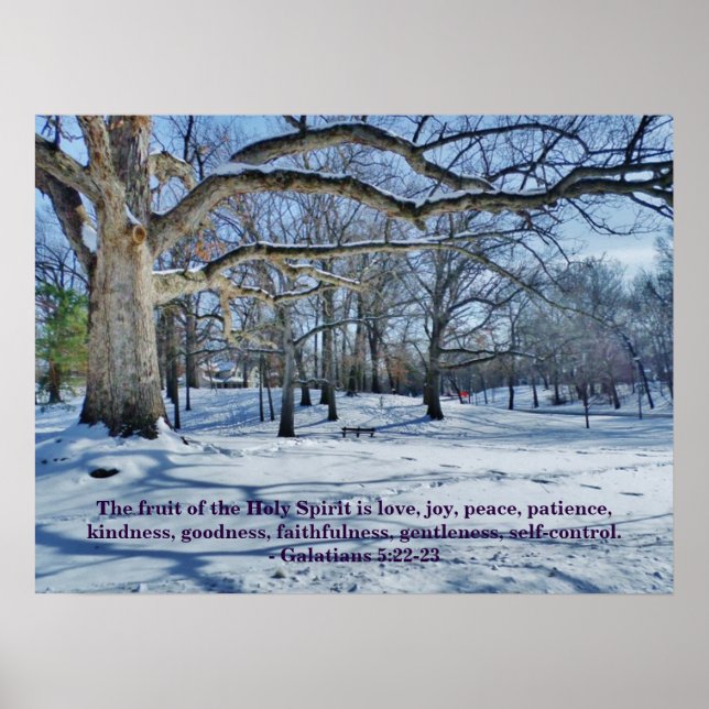 DER OBST DES SPIRITS POSTER (Vorne)