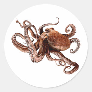 Der Oktopus Runder Aufkleber