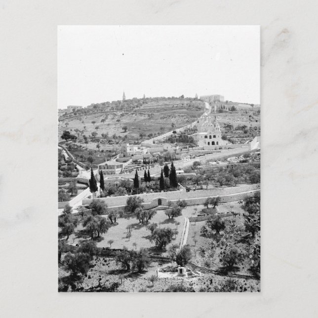 Der Olivenberg in Jerusalem Postkarte (Vorderseite)