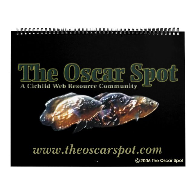 Der Oscar-Spot Kalender (Titelbild)