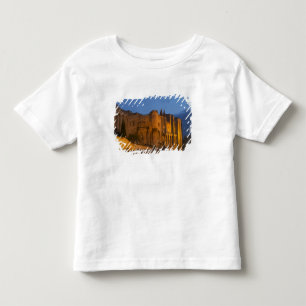 Der Palast des Papstes in Avignon bei Sonnenunterg Kleinkind T-shirt