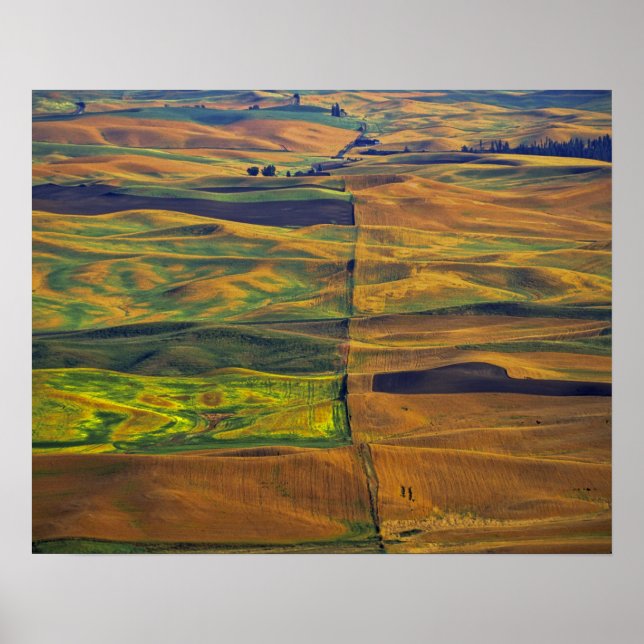Der Palouse von Steptoe Butte, Colfax, Poster (Vorne)