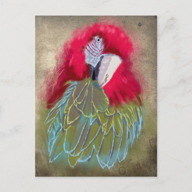 Der Papagei - Postkarte (Vorderseite)