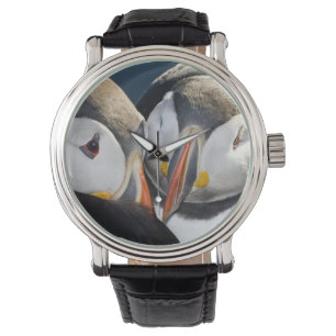 Der Papageitaucher, ein pelagischer Seevogel Armbanduhr