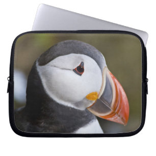 Der Papageitaucher, ein pelagischer Seevogel Laptopschutzhülle