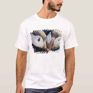 Der Papageitaucher, ein pelagischer Seevogel T-Shirt