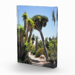 Der Park Cactus Garden Balboa Fotoblock