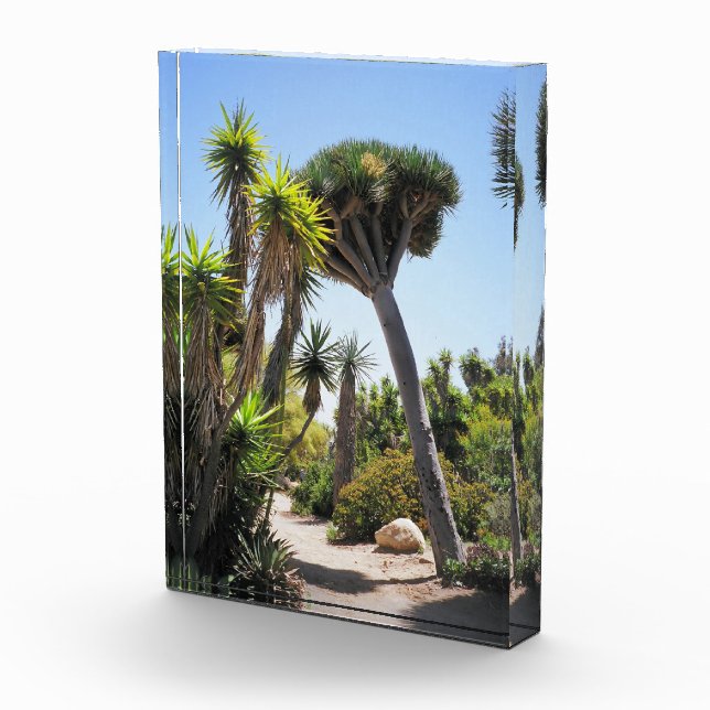 Der Park Cactus Garden Balboa Fotoblock (Rechts)