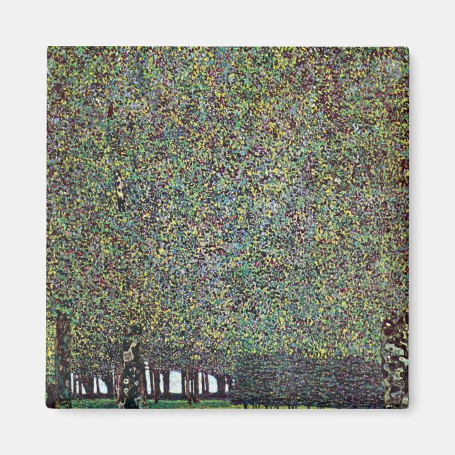 Der Park von Gustav Klimt Magnet (Vorne)