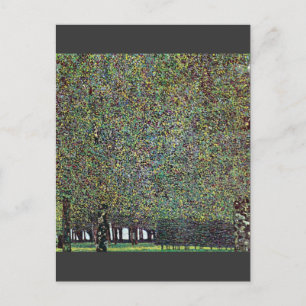 Der Park von Gustav Klimt Postkarte