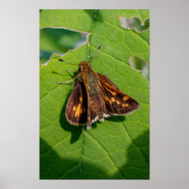 Der Pecks Skipper Poster