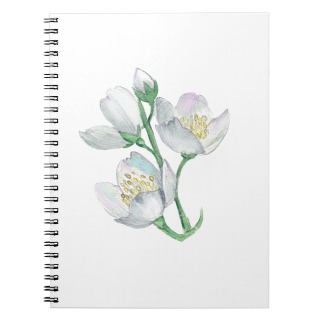 Der perfekte Companion: Bestes Notebook für jeden Notizblock (Vorderseite)