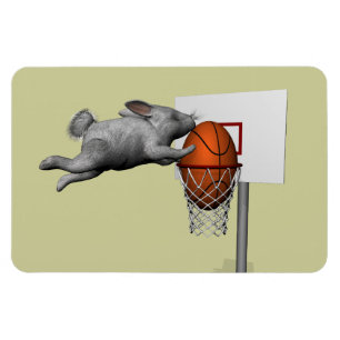 Der perfekte Slam Dunk im Osterhase Magnet