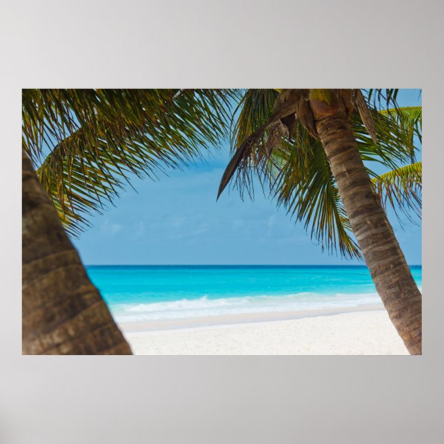 Der perfekte Strand des tropischen Paradise Poster (Vorne)