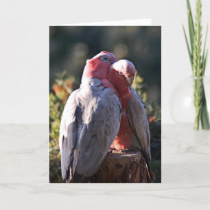 Der perfekte Tag - Valentine Feiertagskarte