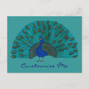 Der Pfau Postkarte