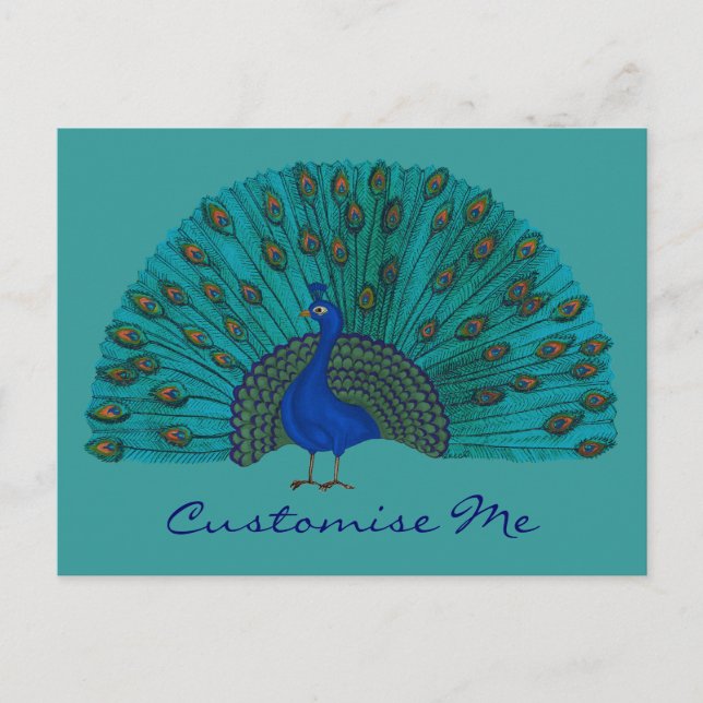 Der Pfau Postkarte (Vorderseite)