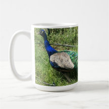 Der Pfauencup in Finca Garden