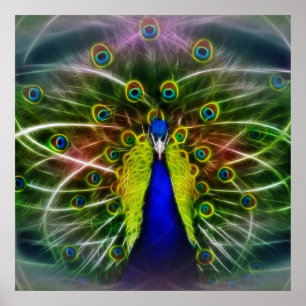 Der Pfauendreamcatcher Poster