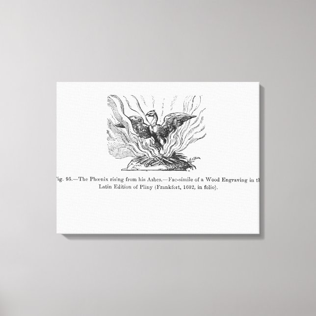 Der Phoenix, der aus seiner Asche aufsteigt Leinwanddruck (Vorderseite)