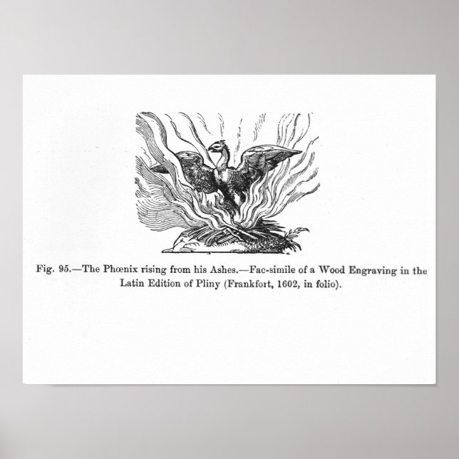 Der Phoenix, der aus seiner Asche aufsteigt Poster (Vorne)