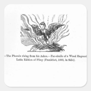 Der Phoenix, der aus seiner Asche aufsteigt Quadratischer Aufkleber