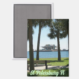 Der Pier St Petersburg Florida Magnet