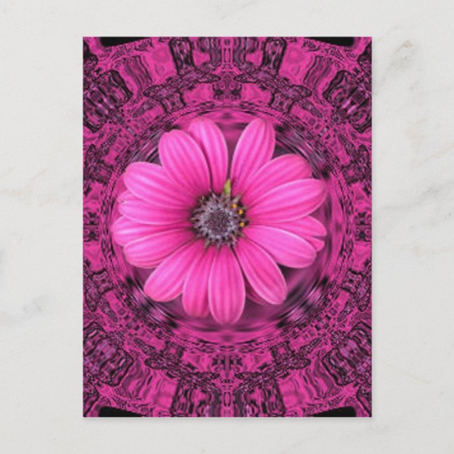DER PINK DAISY POSTKARTE (Vorderseite)